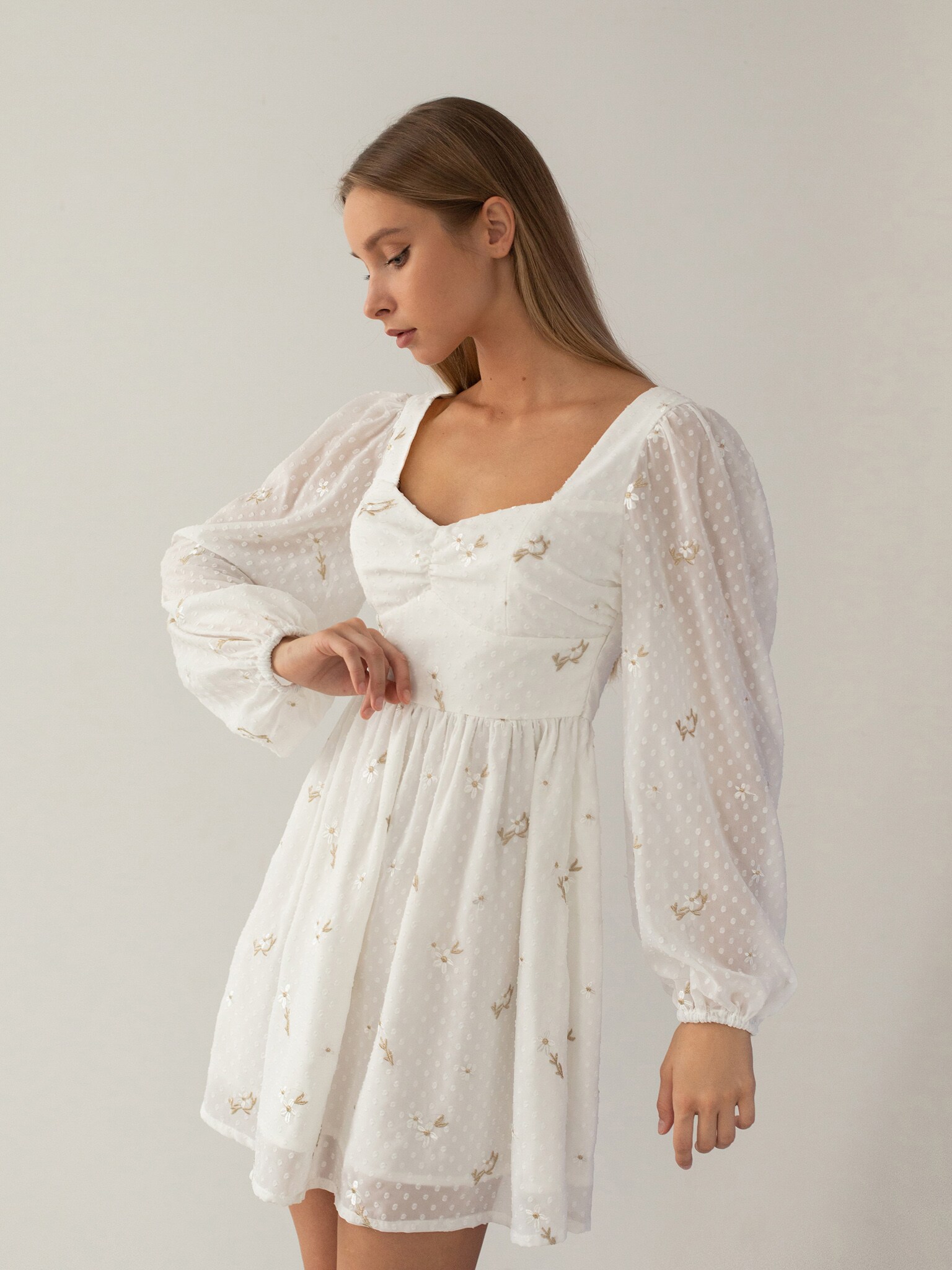 embroidered dress with sleeves