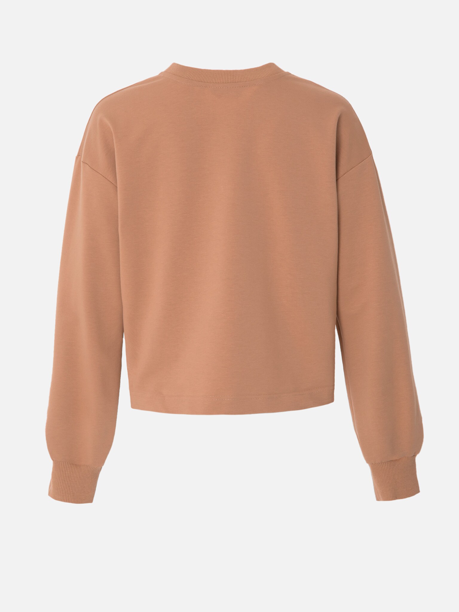 product img is here