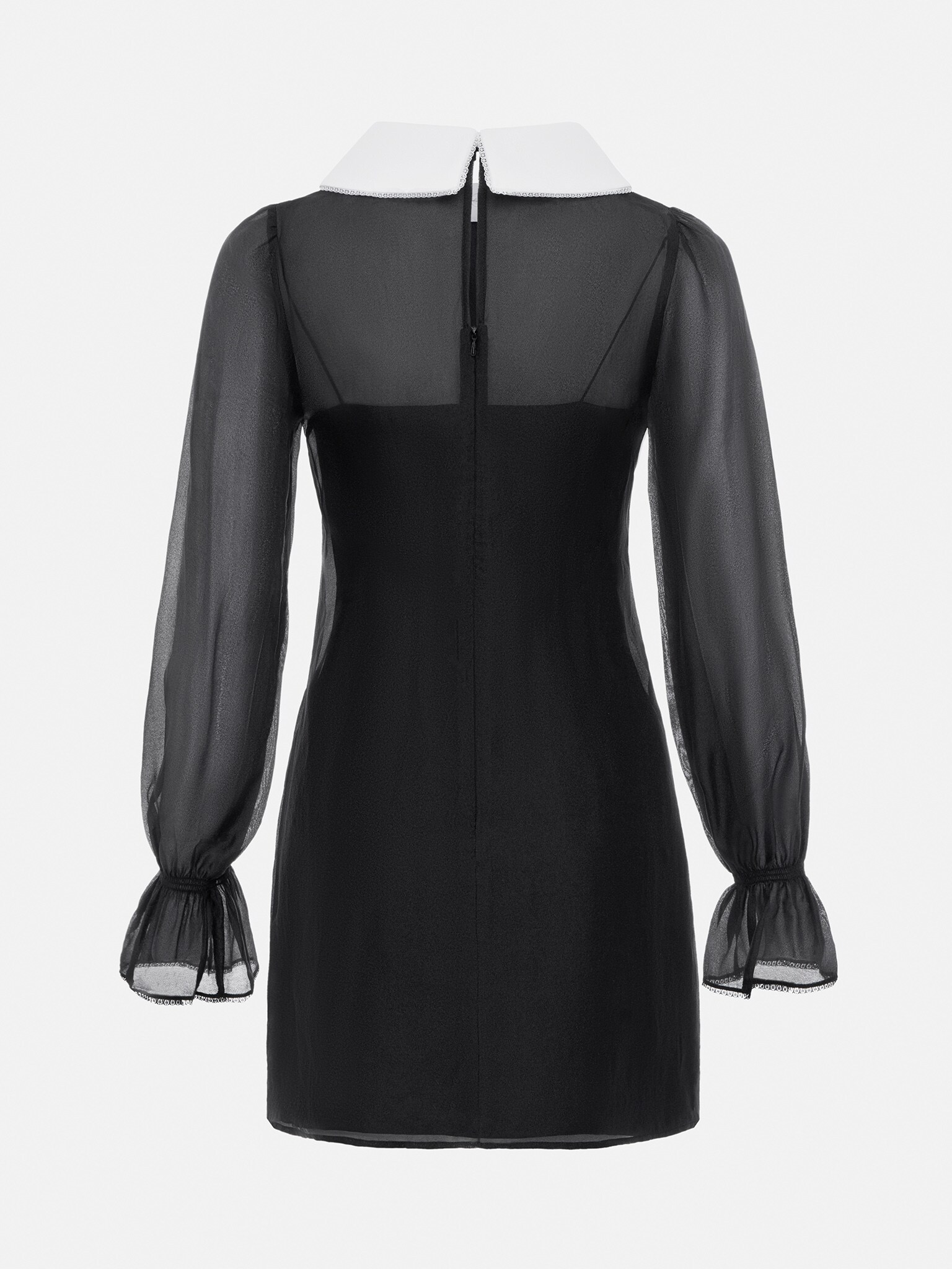 Sheer-sleeve contrast-collar midi dress