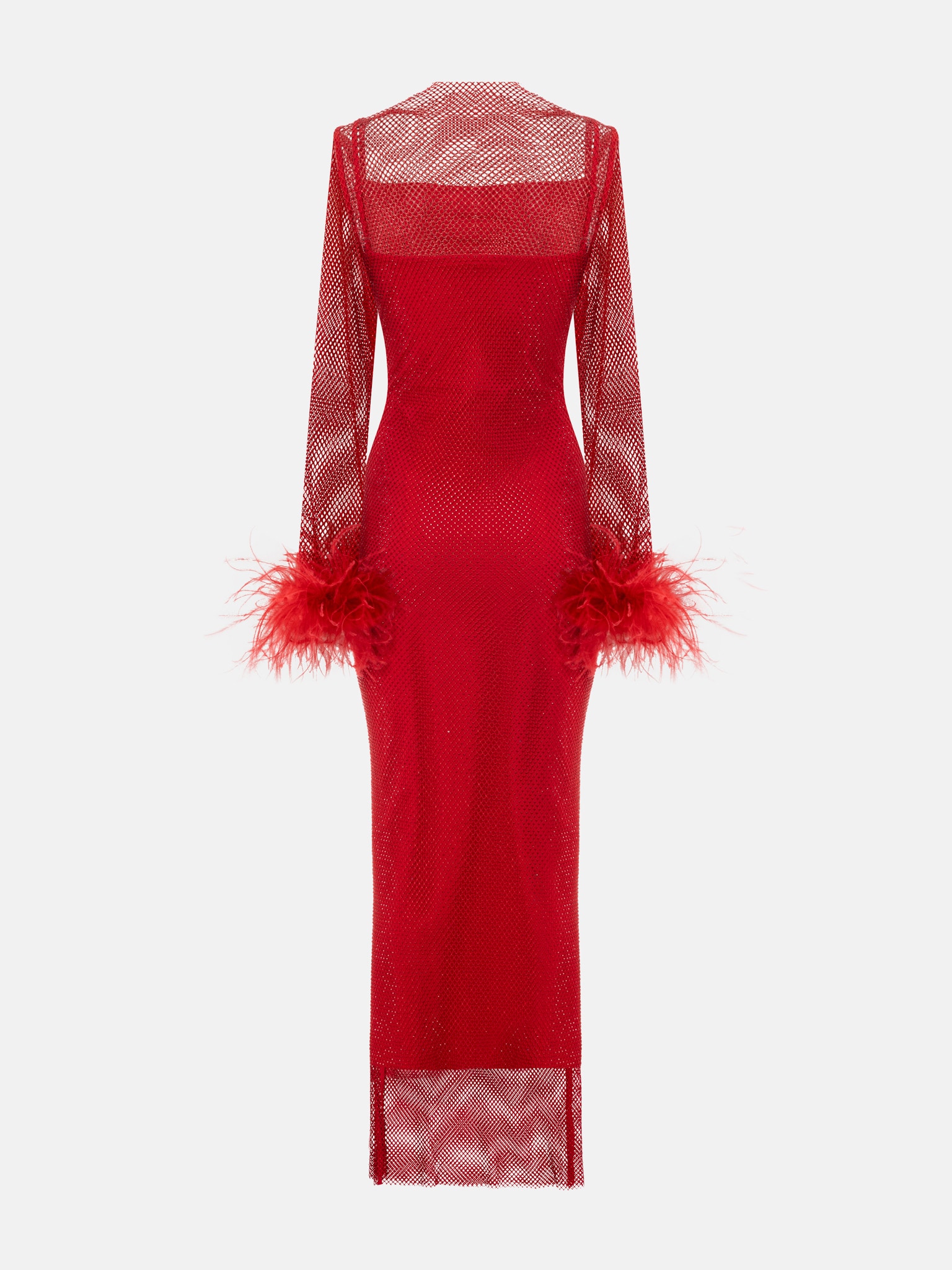 Mesh maxi dress with feathers on the sleeves