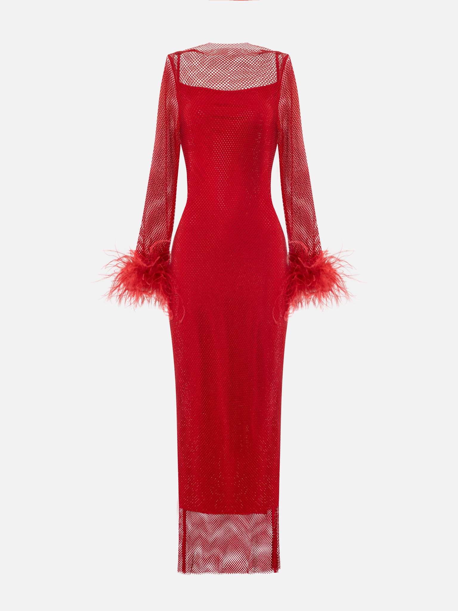 Mesh maxi dress with feathers on the sleeves