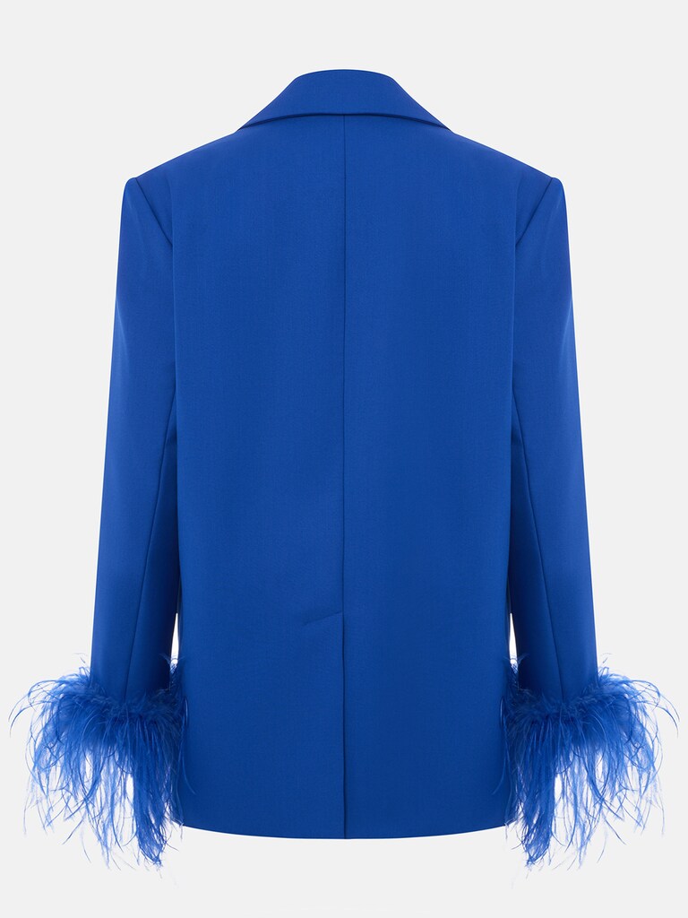 Single-breasted jacket with accent buttons and feathers