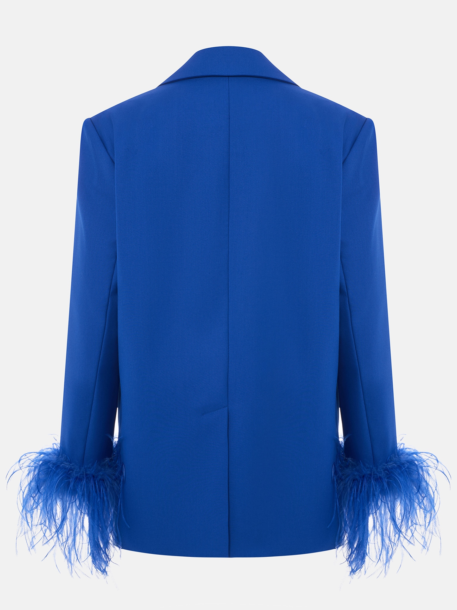 Single-breasted jacket with accent buttons and feathers