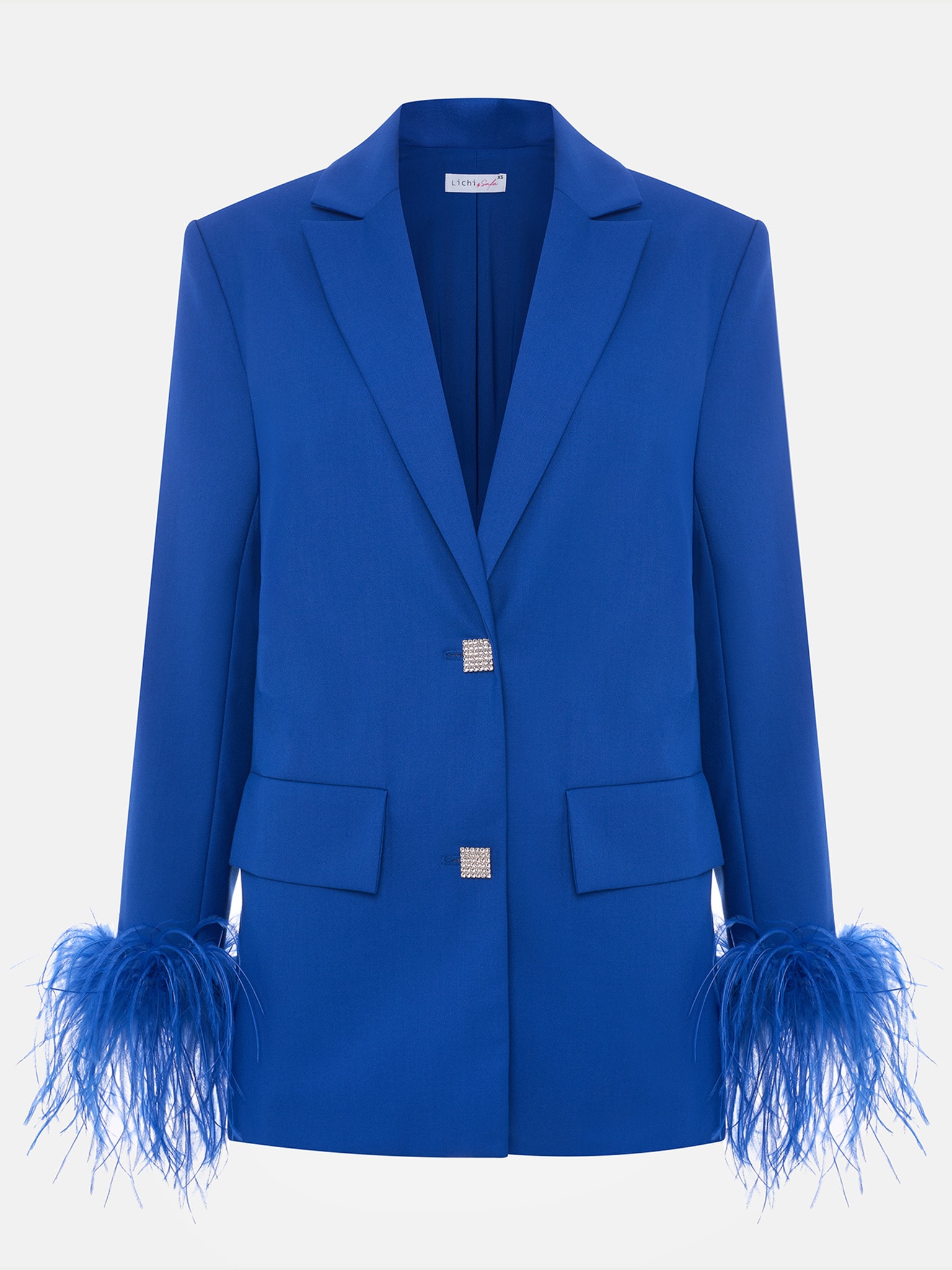 Single-breasted jacket with accent buttons and feathers