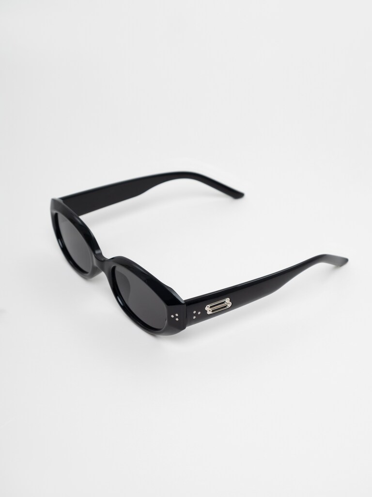 Oval sunglasses with metal decor on the temples